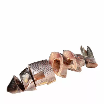 1 KG-Rui Fish After Cutting