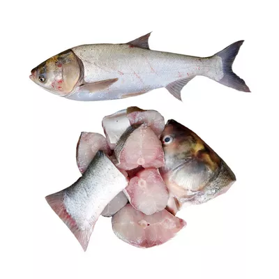 1 KG-Silver Carp Fish After Cutting